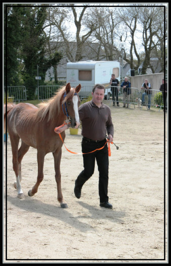 Guimiliau 2009