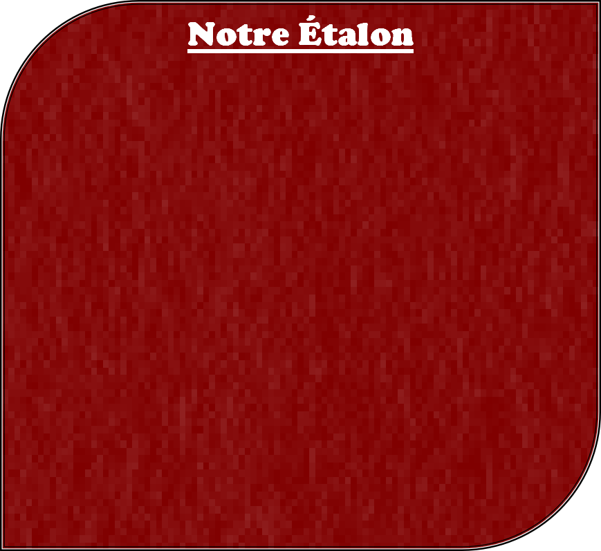 Notre Étalon